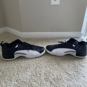 Jordan Retro 12 playoff low top